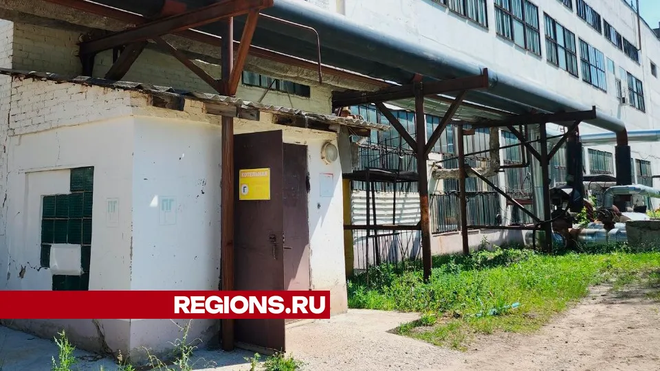 Фото: Юлия Андросова