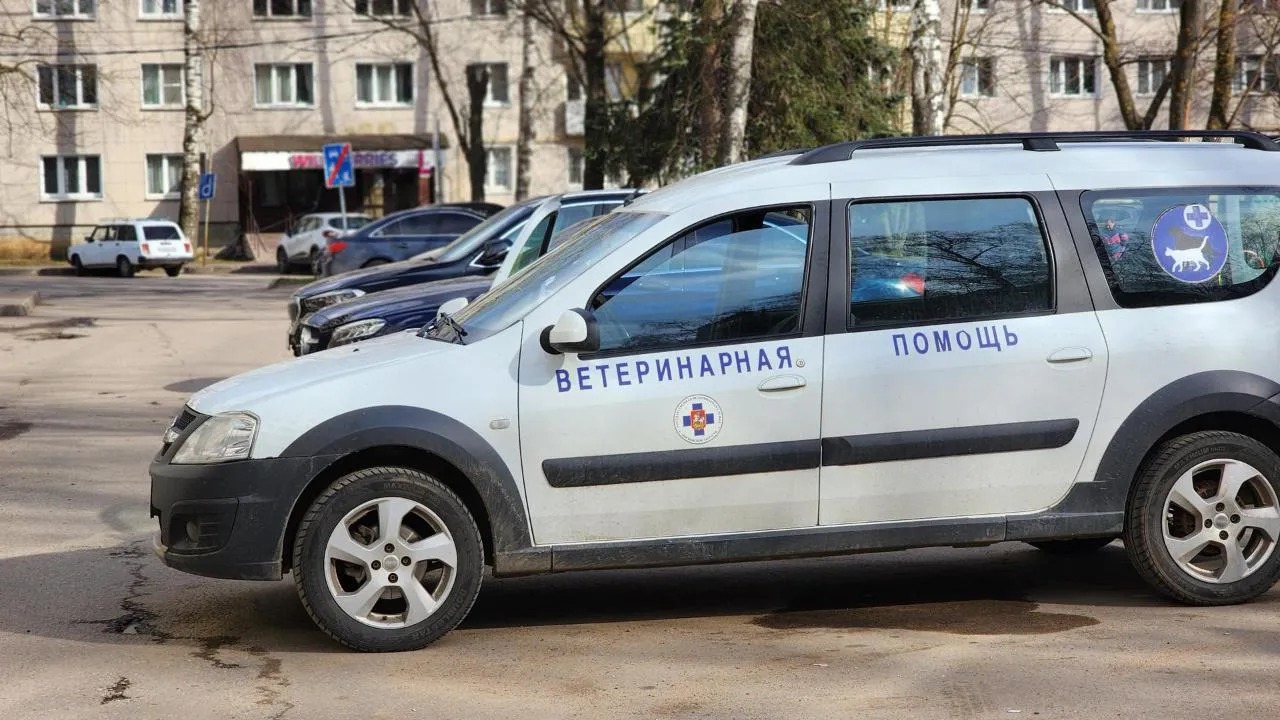 Картинка