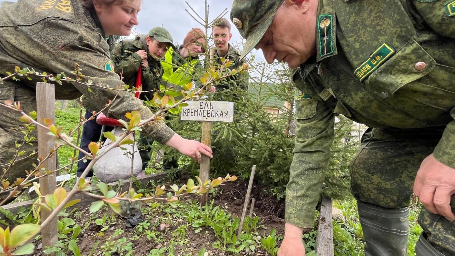 Фото: пресс-служба Администрации Можайского городского округа