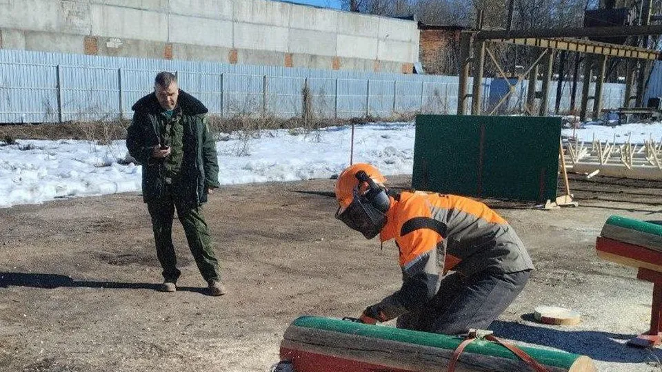 Фото: Комитет лесного хозяйства Московской области