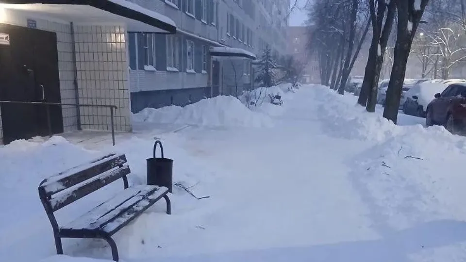 Фото: Администрация Черноголовки