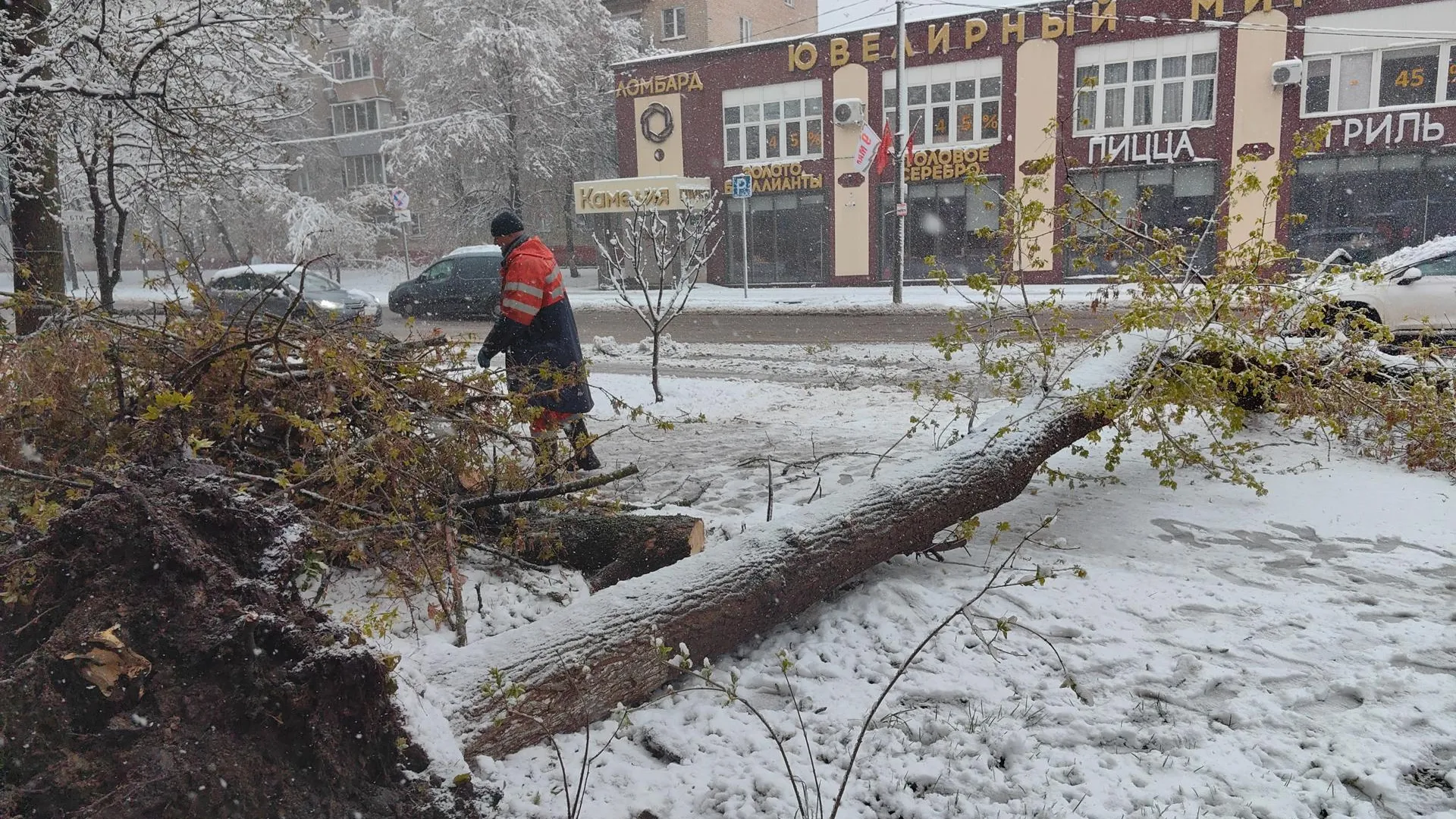 Картинка