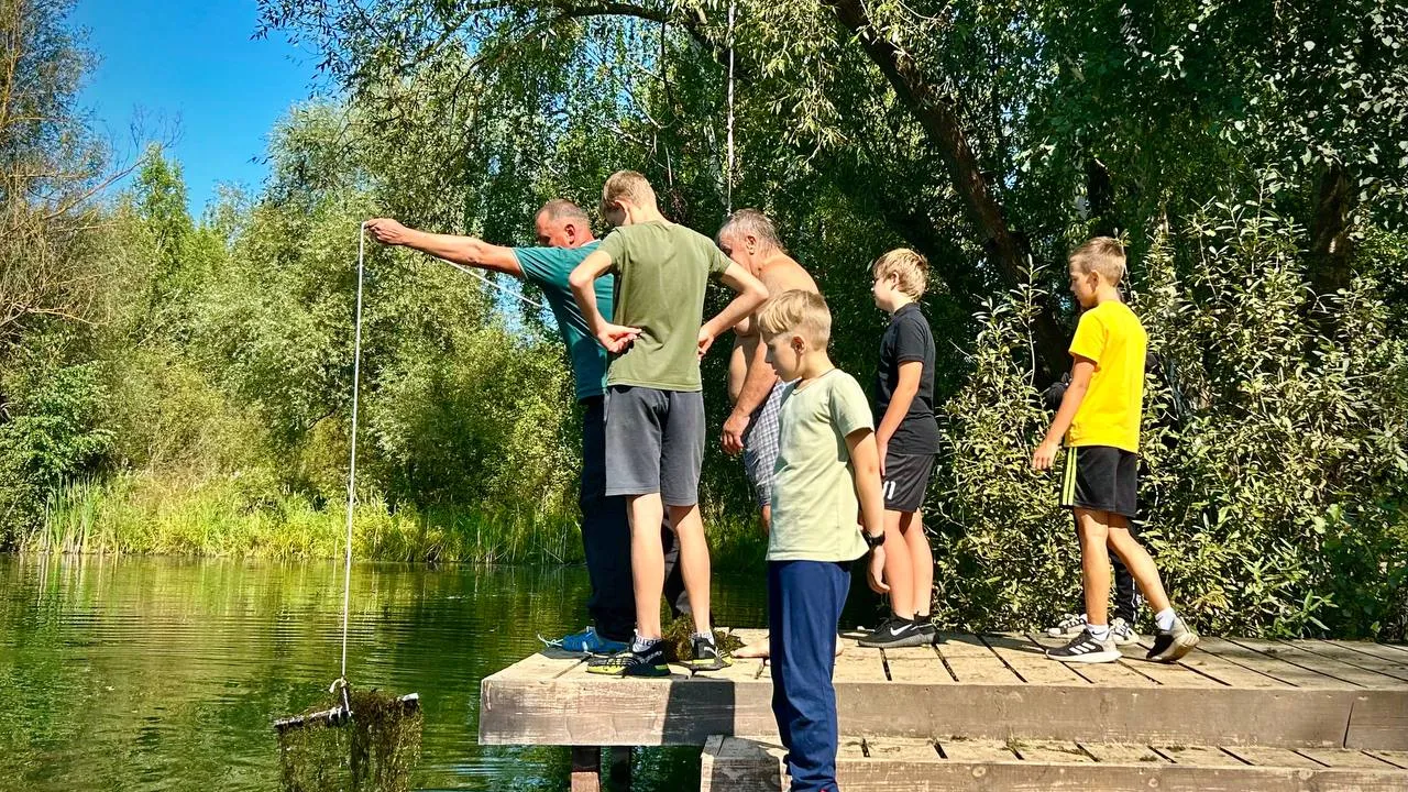 Картинка