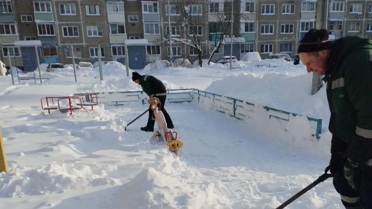 Картинка