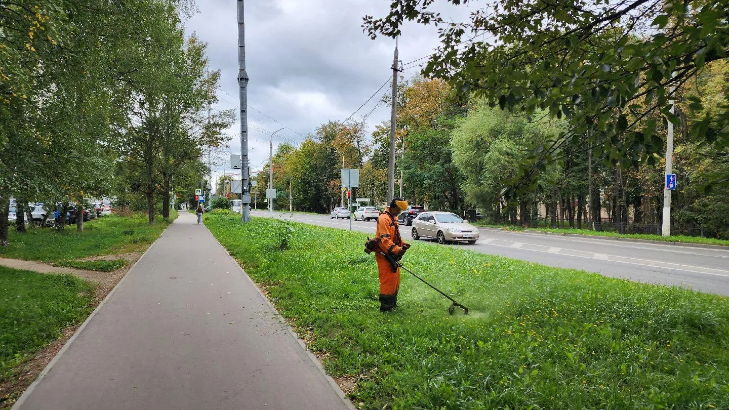 Картинка