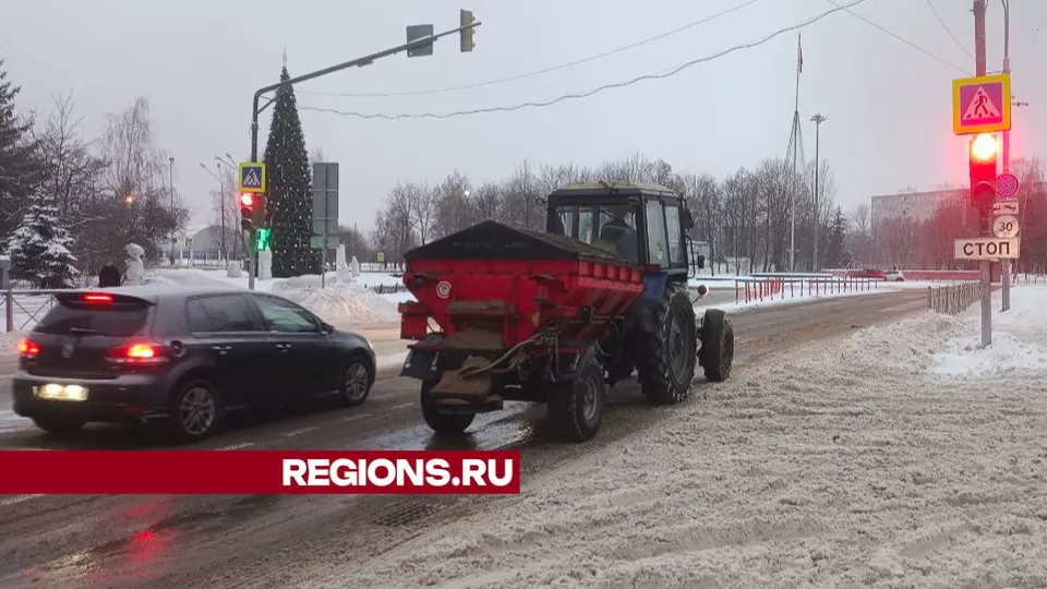 Фото: REGIONS/Юлия Павлова