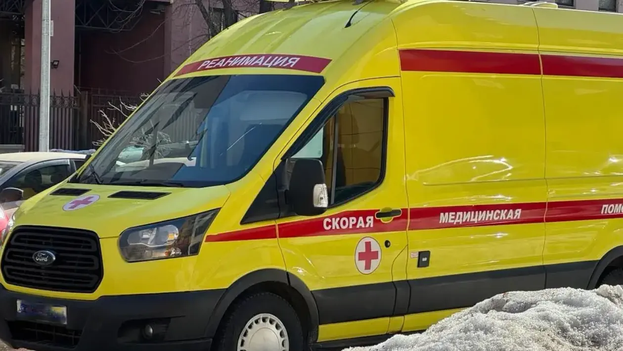 Картинка