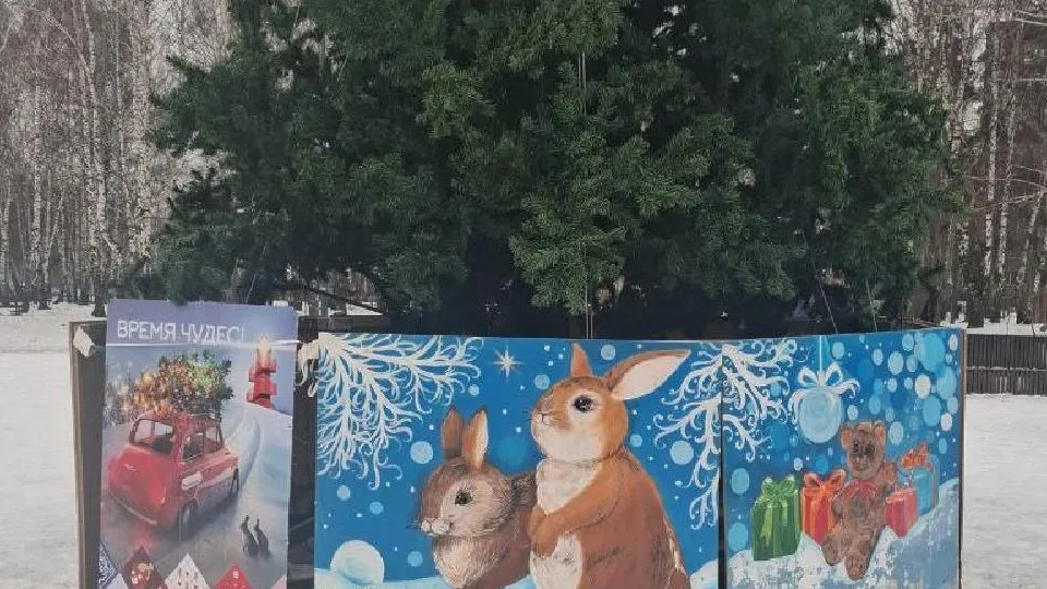 Картинка