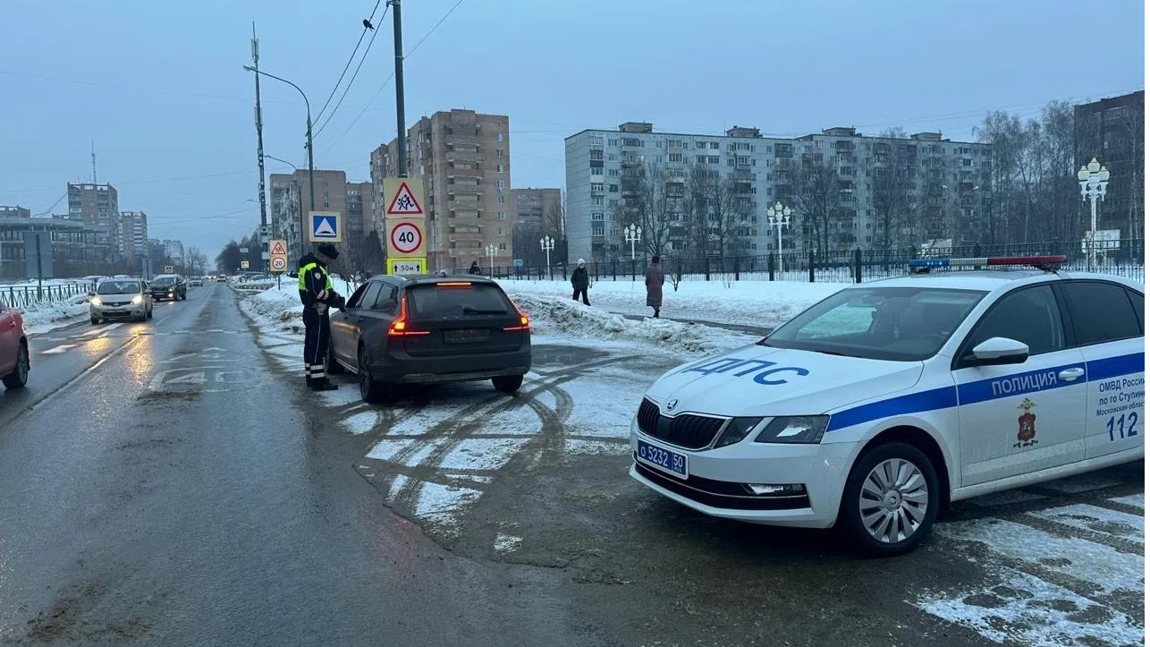 Фото: Пресс-служба администрации г.о. Ступино