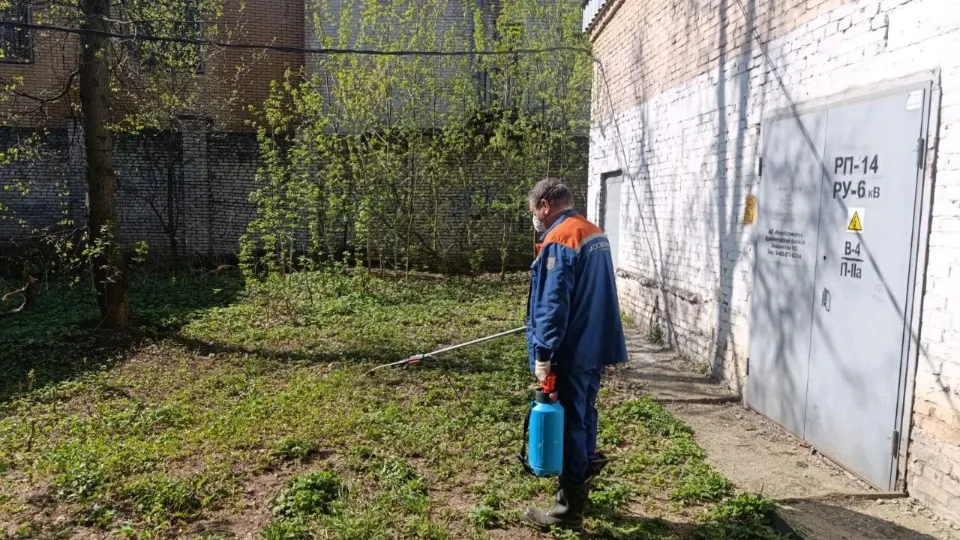 Картинка