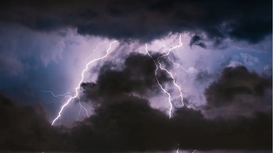 Фото: unsplash.com