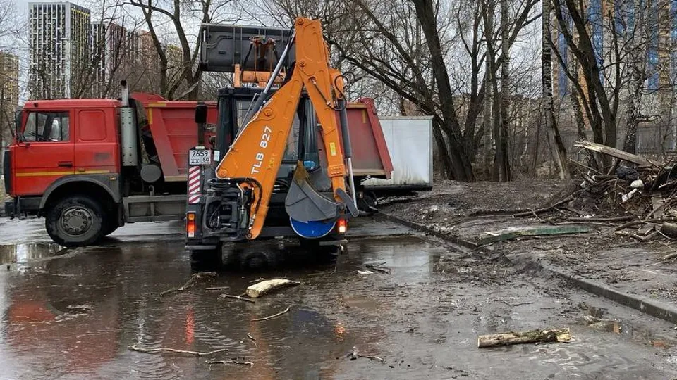 Фото: пресс-служба администрации г.о. Красногорск