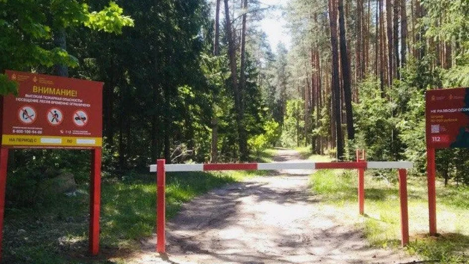 Фото: Комитет лесного хозяйства МО