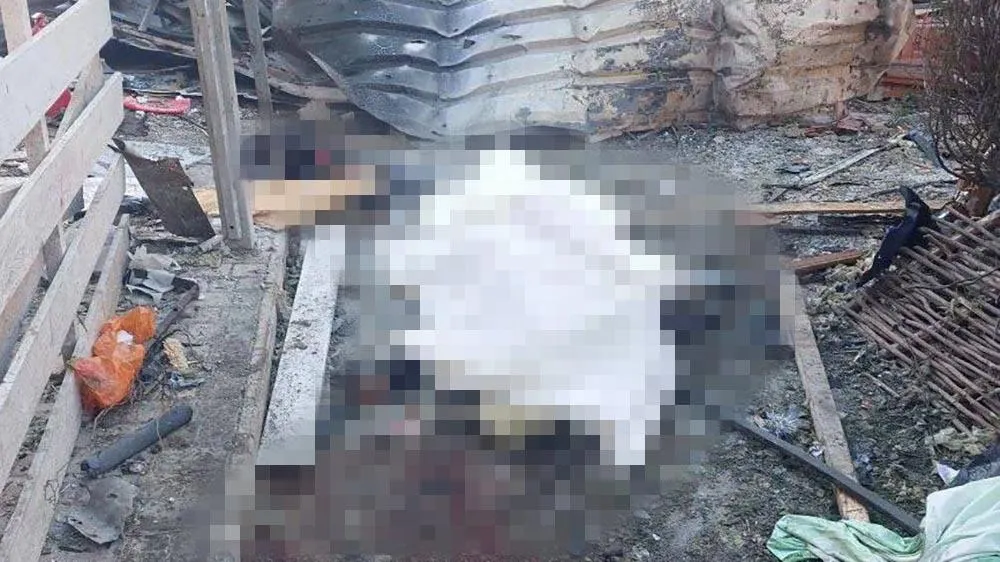 Владимир Сальдо