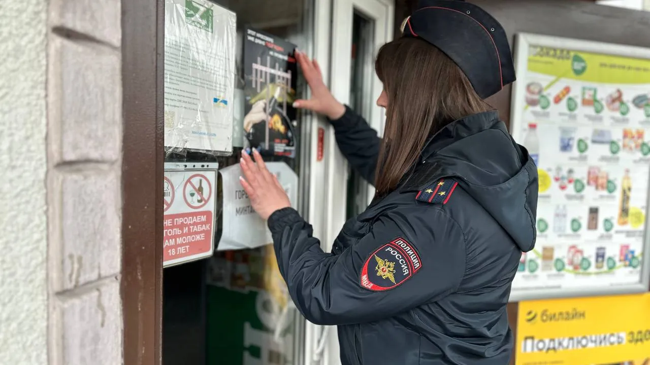 Фото: пресс-служба ГИБДД по Павлово-Посадскому городскому округу