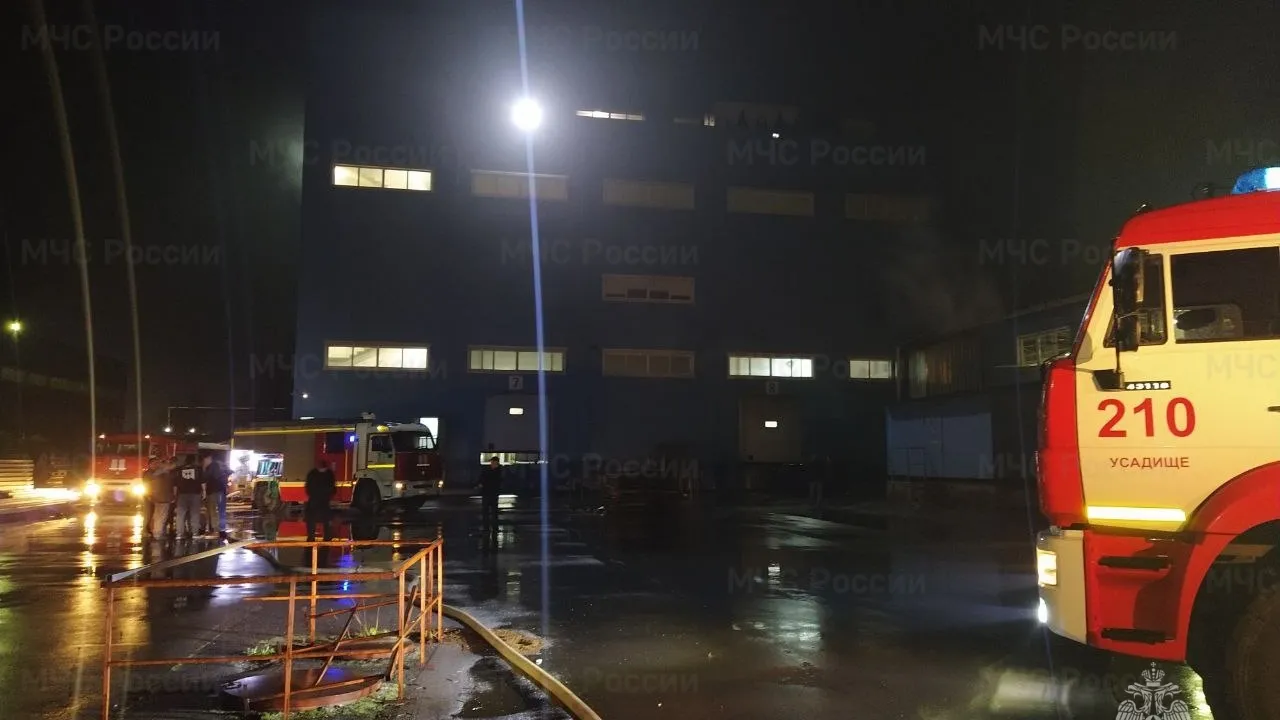 Фото: ГУ МЧС России по МО