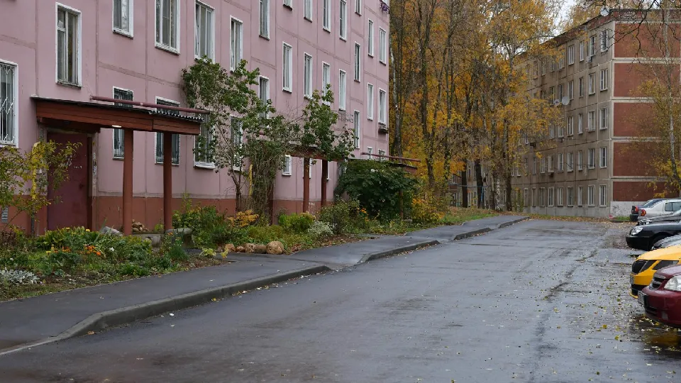 Фото: пресс-служба администрации Дмитровского м.о.