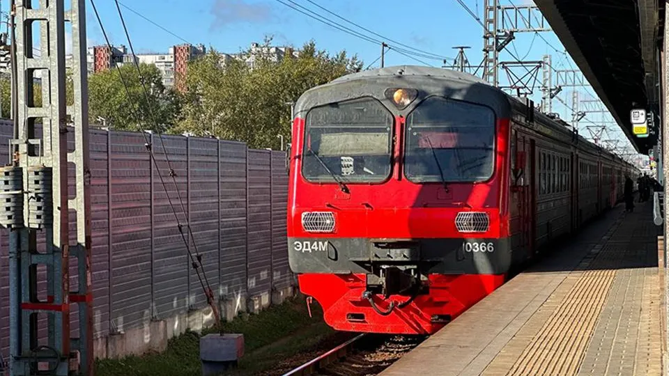 Фото: МедиаБанк Подмосковья/Ксения Казакова