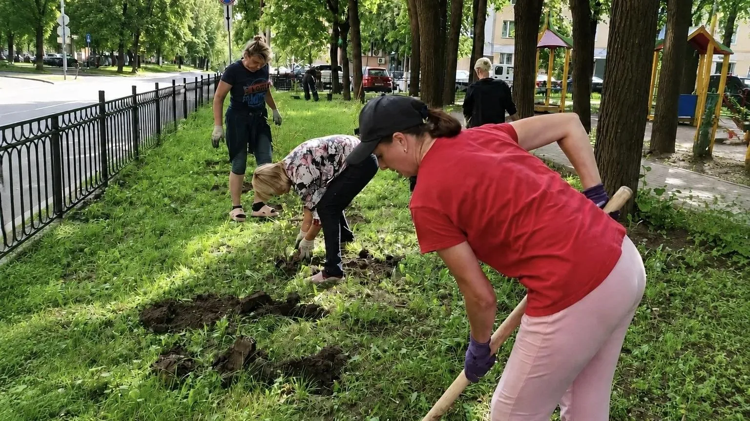 Картинка