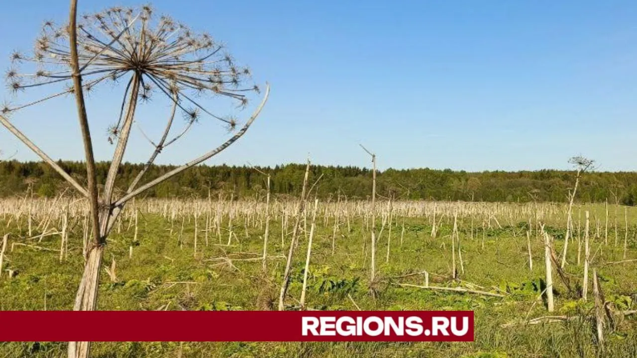 Фото: Евгений Рой