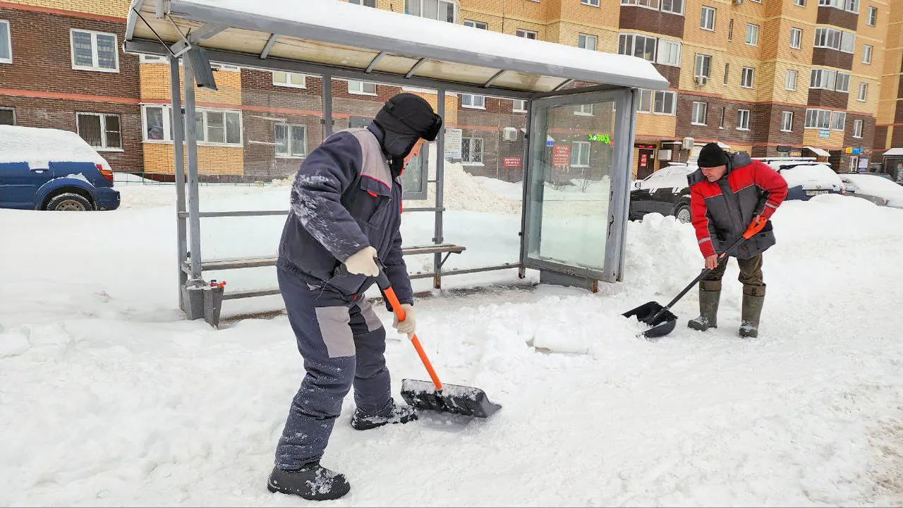 Фото: Валерия Тингаева