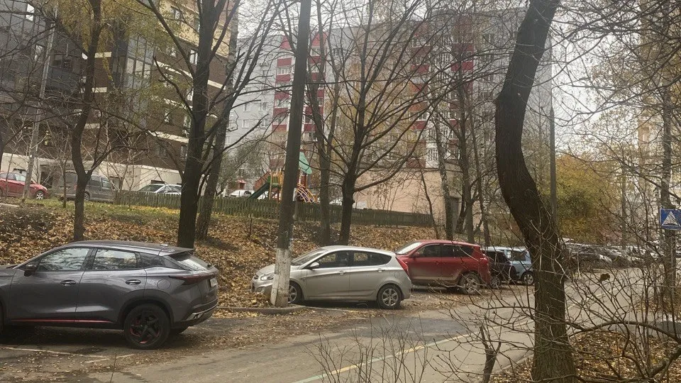 Фото: Управление благоустройства администрации Одинцовского округа