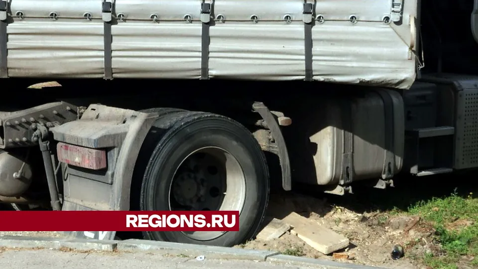 Фото: Кира Королева
