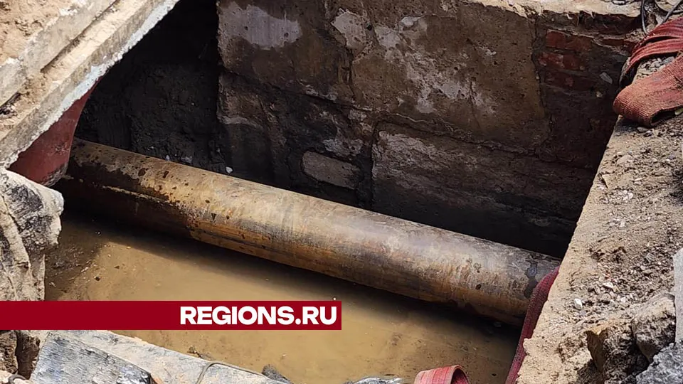 Фото: Валерия Тингаева