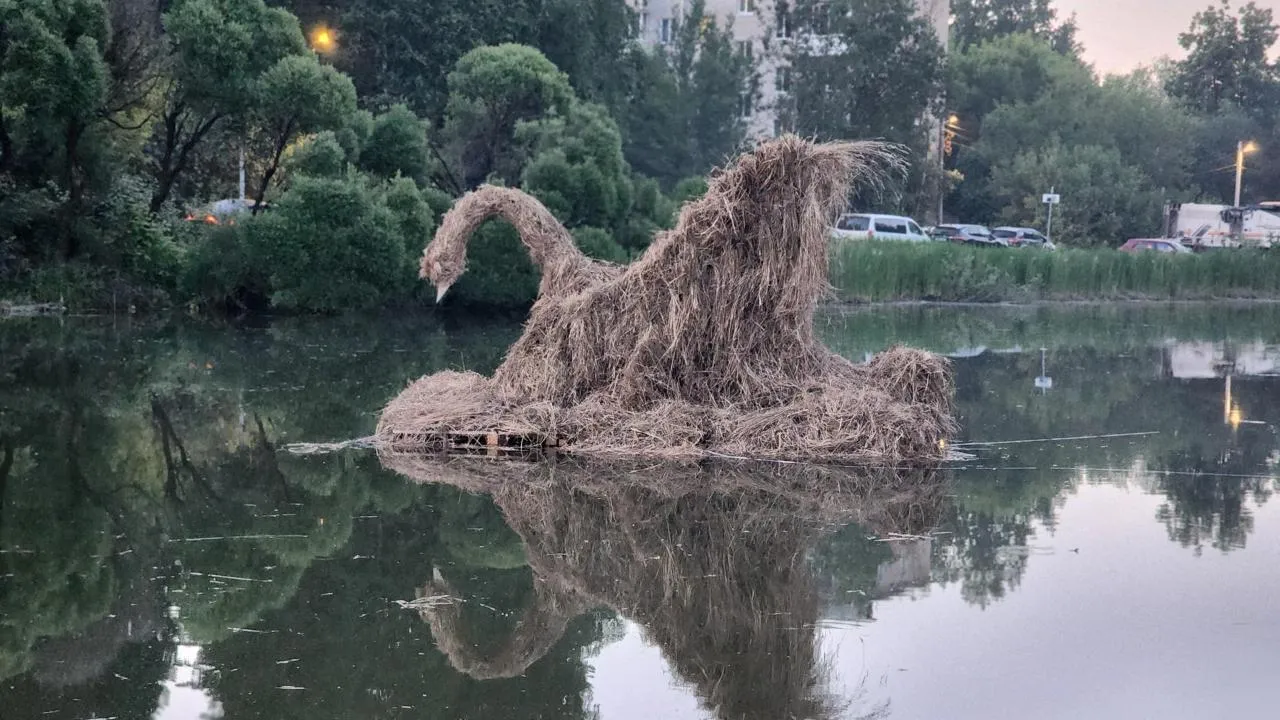 Картинка