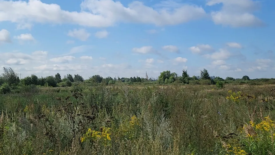 Фото: Медиабанк МО/Ольга Аввакумова