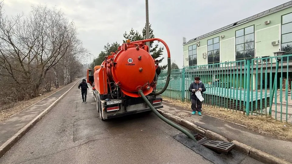 Фото: управление экологии городского округа Мытищи