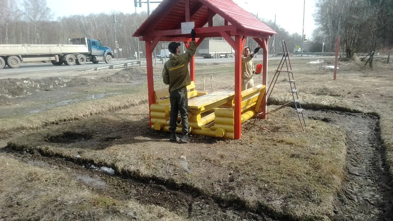 Фото: Комлесхоз МО