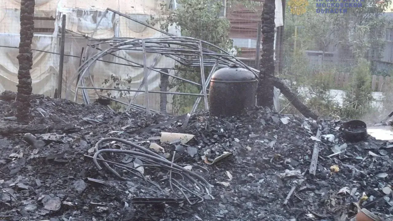 В Павлово-Посадском прокуратура взяла под контроль установление обстоятельств пожара с пятью погибшими