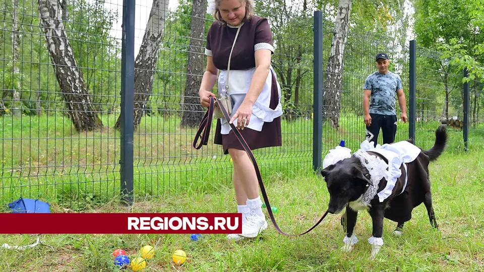 Фото: REGIONS/Наталья Бычкова