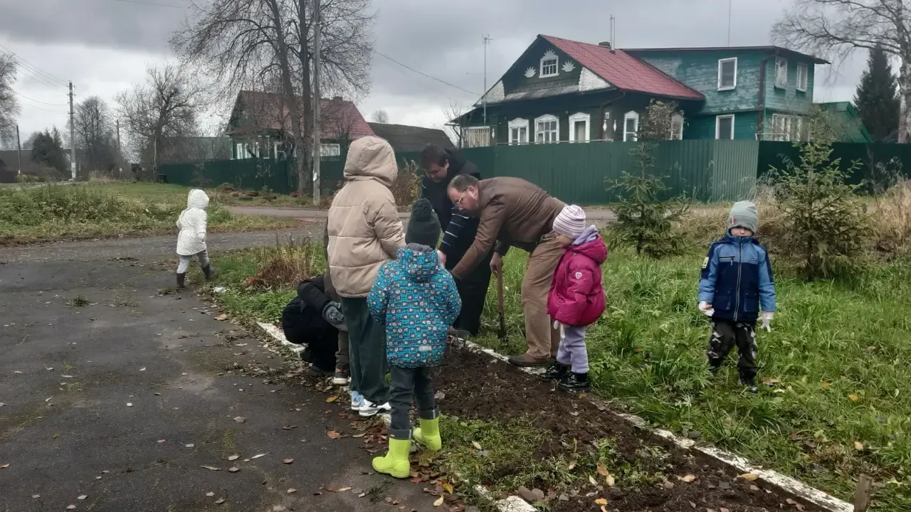 Картинка
