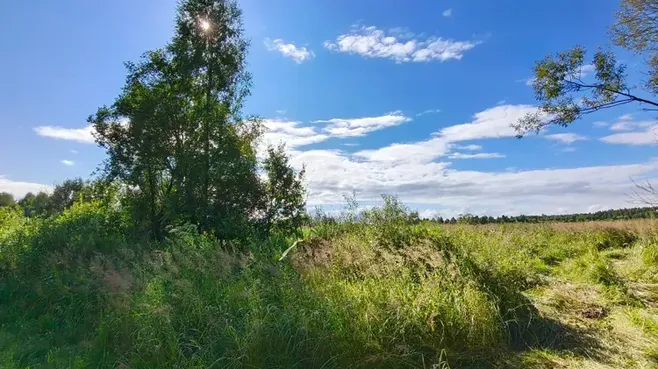 Участок на торгах в Подмосковье