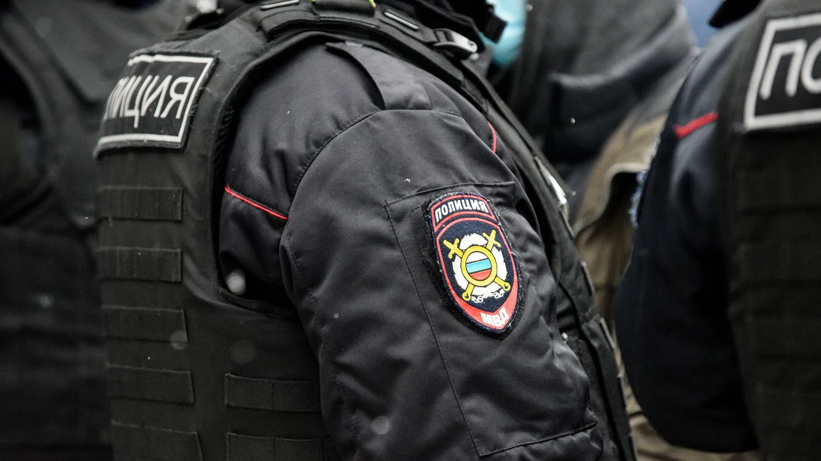 Фото: Медиаархив Подмосковья