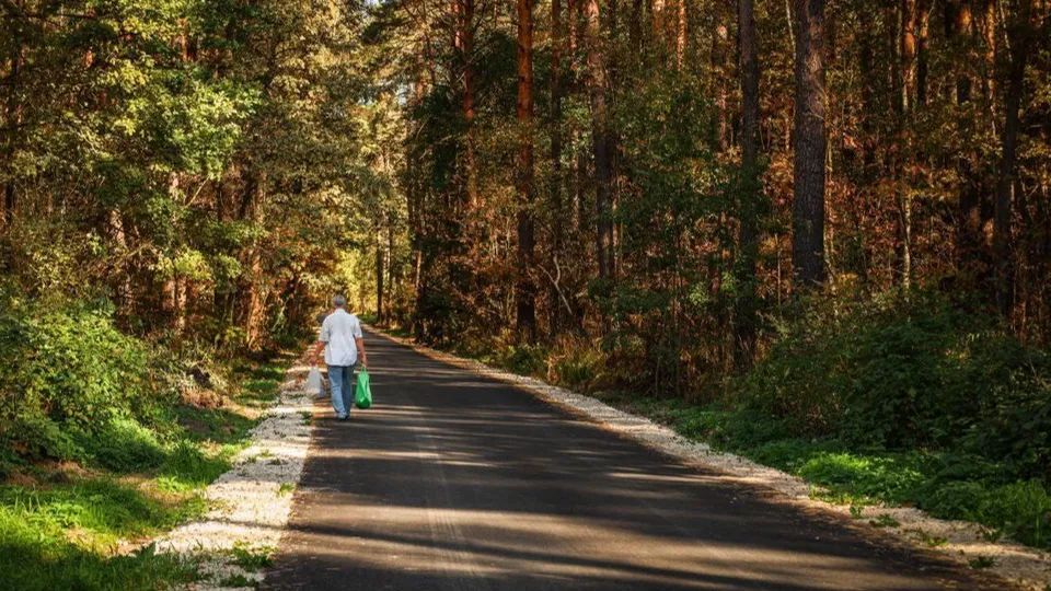 Фото: Раменский медиацентр