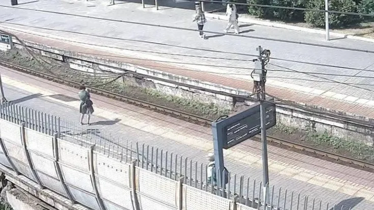 Фото: Минтранс Московской области
