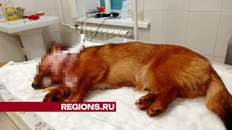 Фото из личного архива