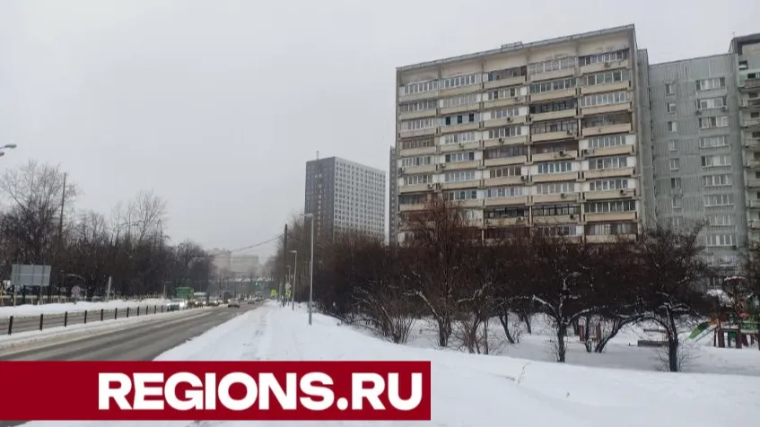 Фото: Кирилл Софьинский