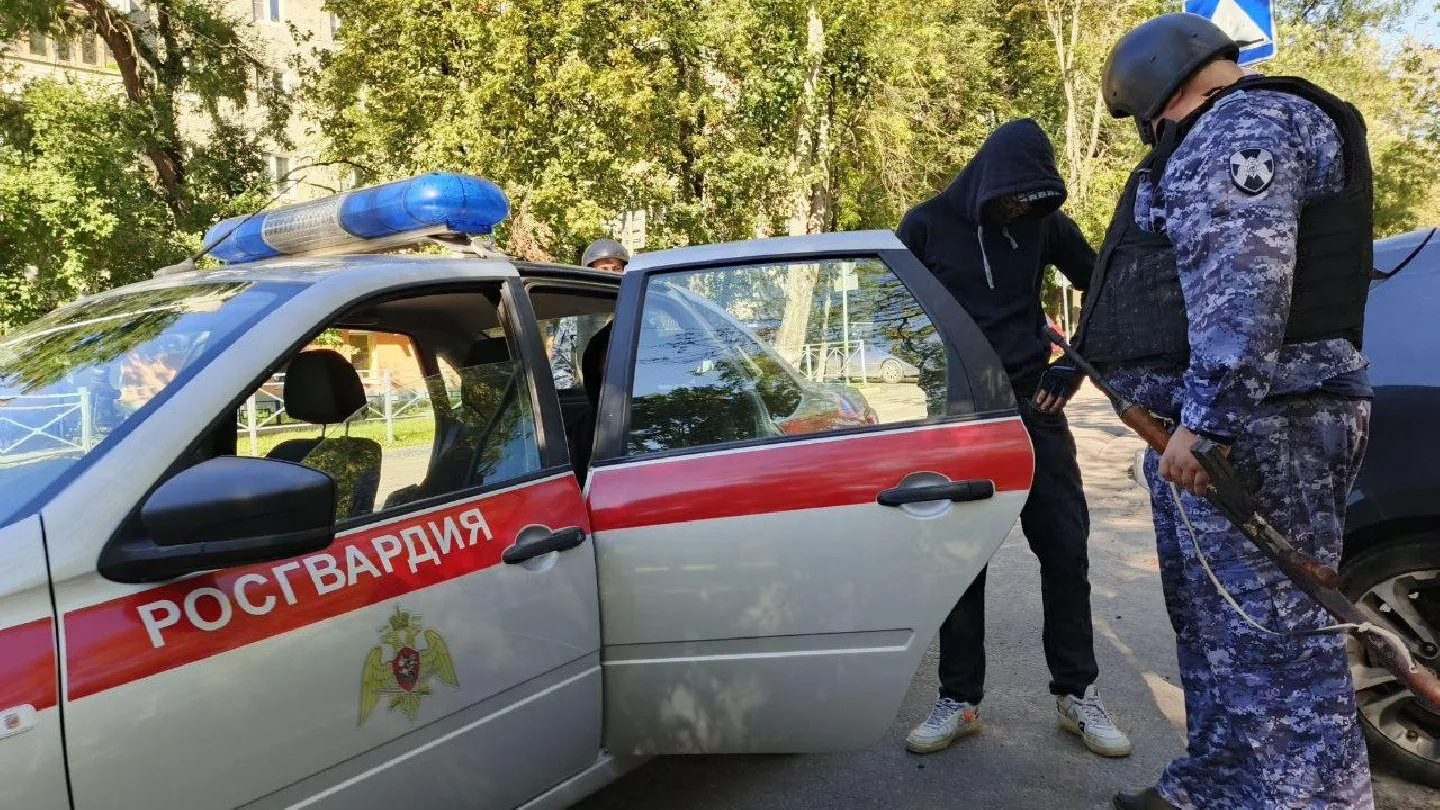 Картинка