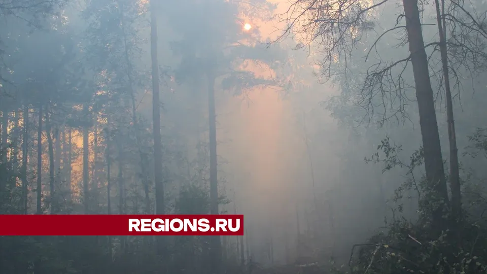 Фото: REGIONS/Василий Тремасов