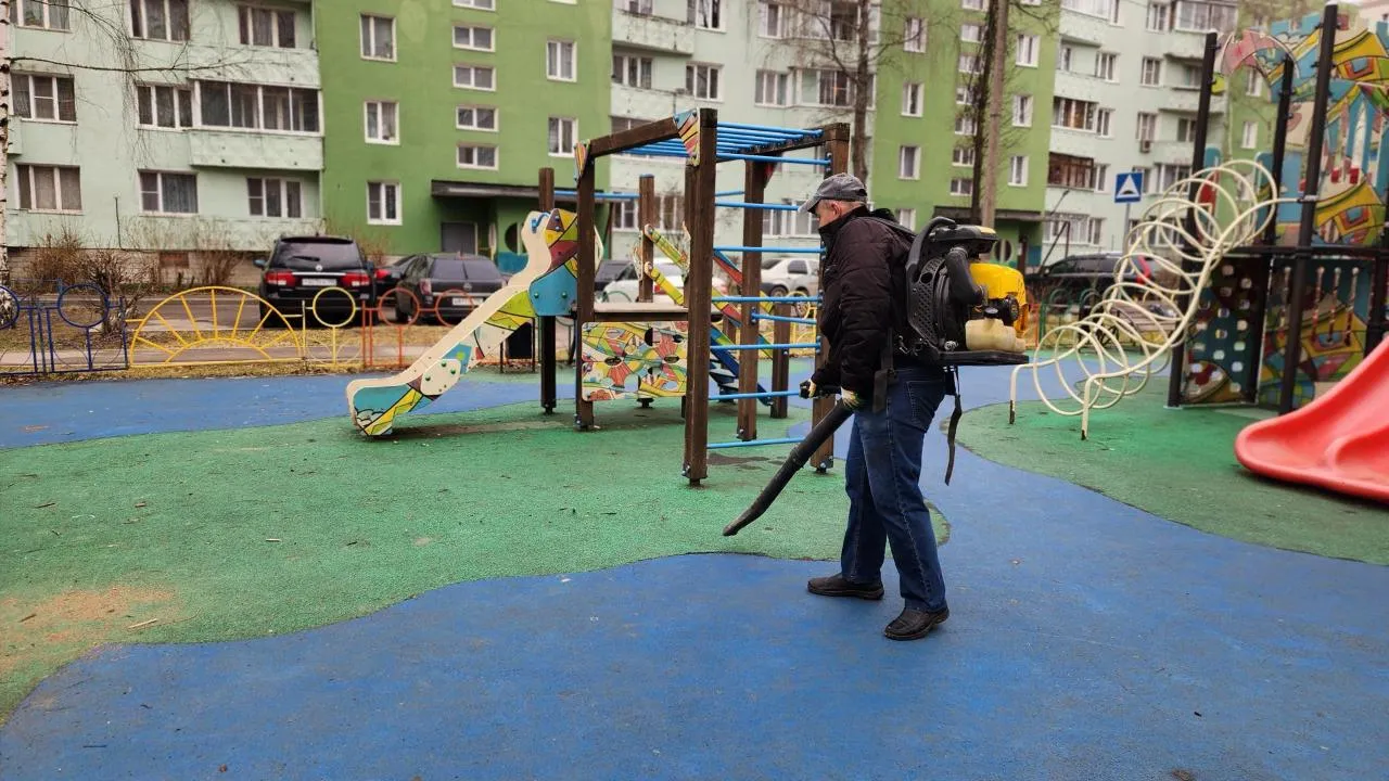 Картинка
