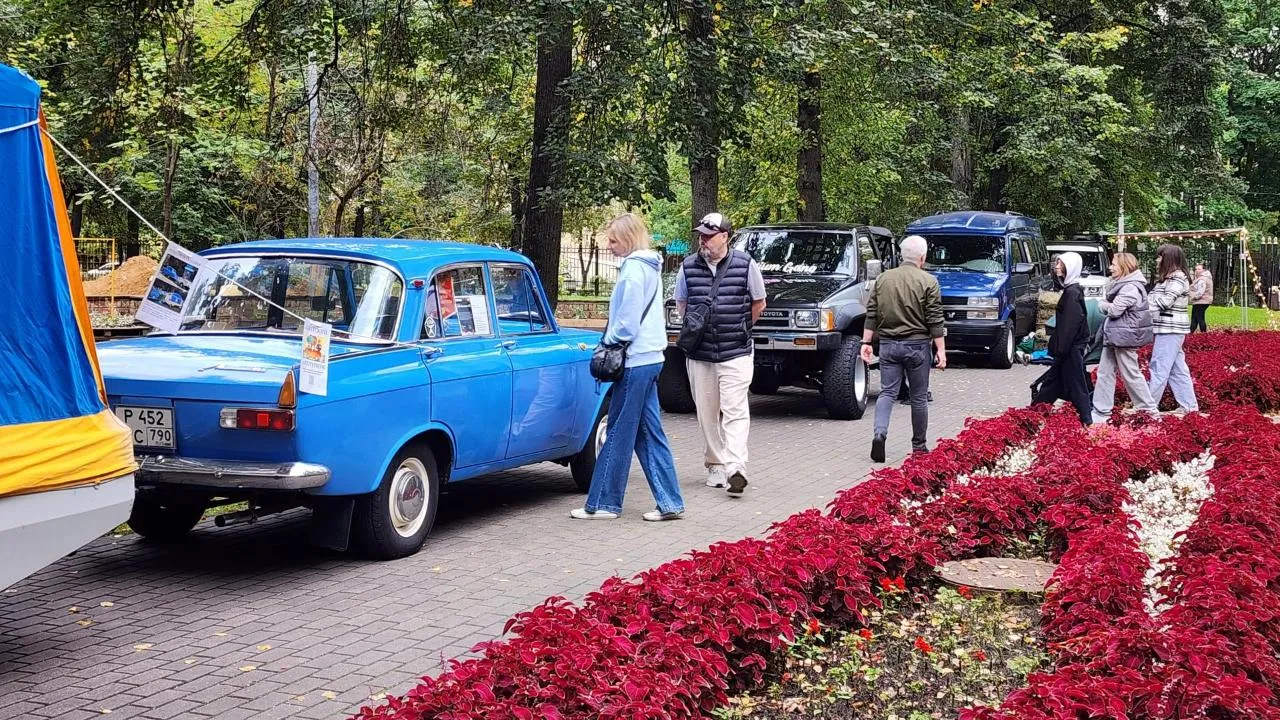 Картинка