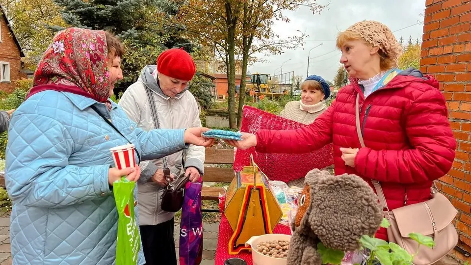 Фото: КЦСОИР «Орехово-Зуевский»