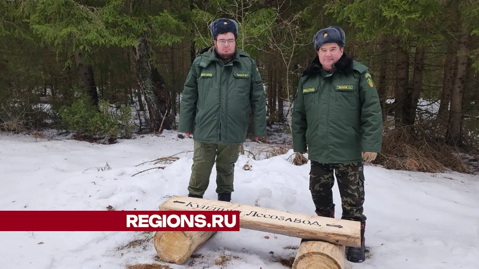 Фото: Юлия Андросова