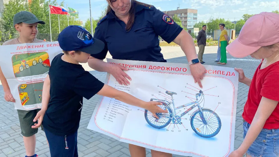 Фото: отдел ГИБДД «Павлово-Посадский»