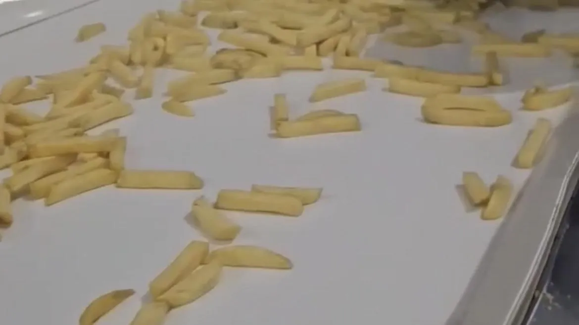 Фото архив