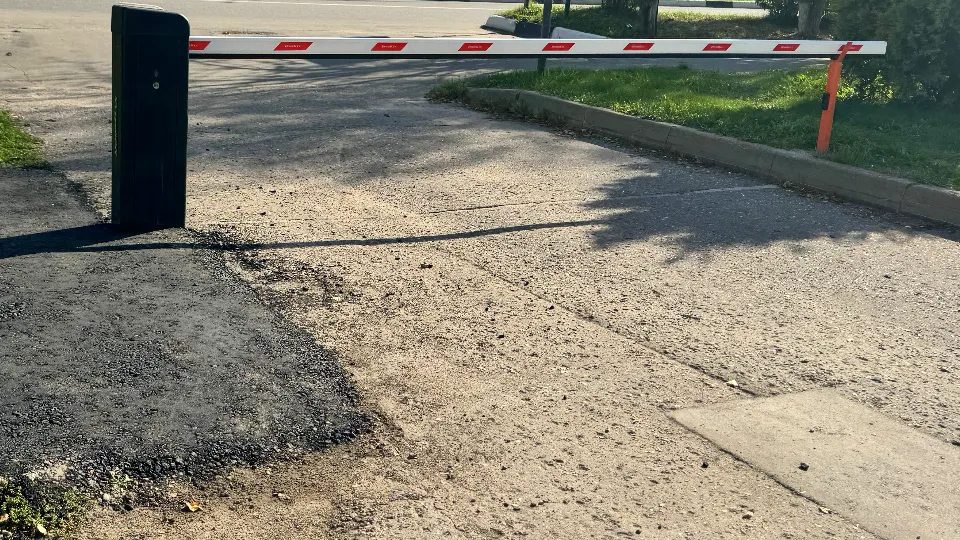 Фото: МедиаБанк Подмосковья/Татьяна Рунова